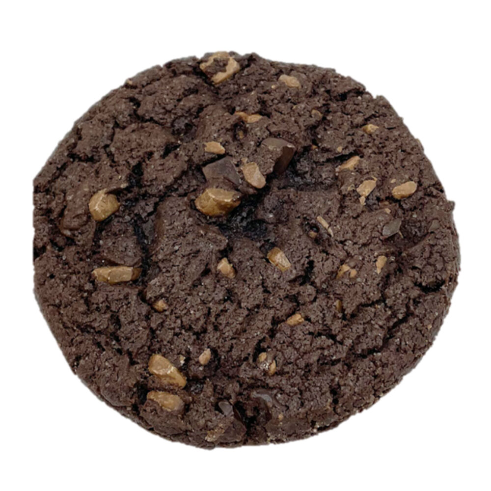 mBD968b [大量] chocoQ animatales チョコラザウルス4 原色海水魚図鑑I 他 | フィギュア B\u0026B Soft Double Chocolate Cookies 175g