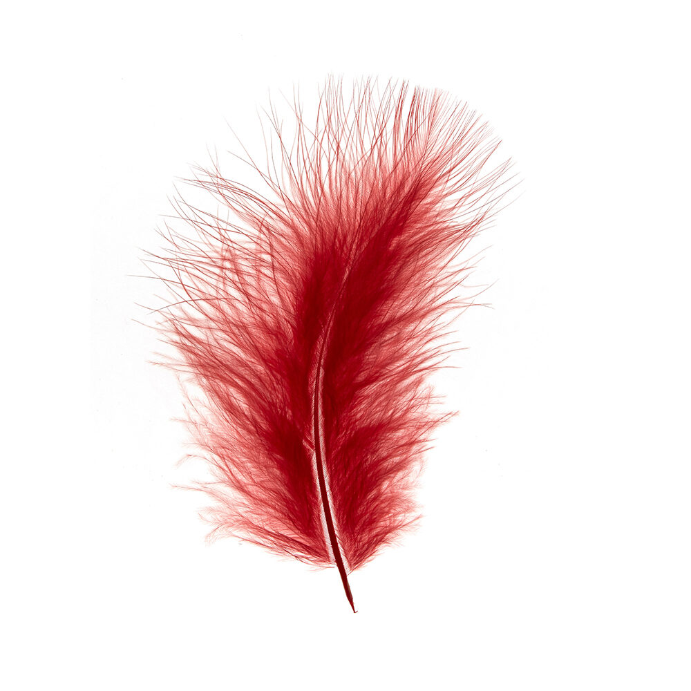 X 1DS.PLUIM MARABOU ROOD_