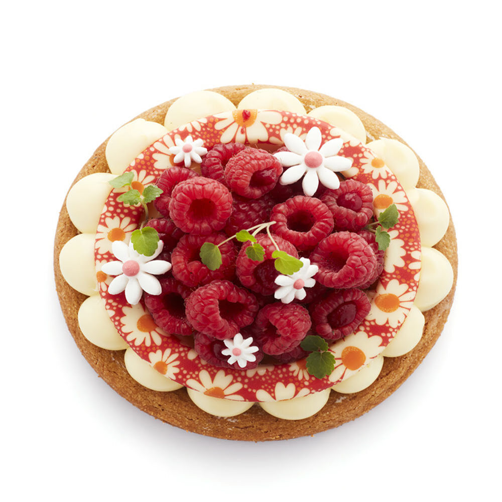 X10PC CIRCLE RED DAISY D.12,5CM CHOCOLATE 34457