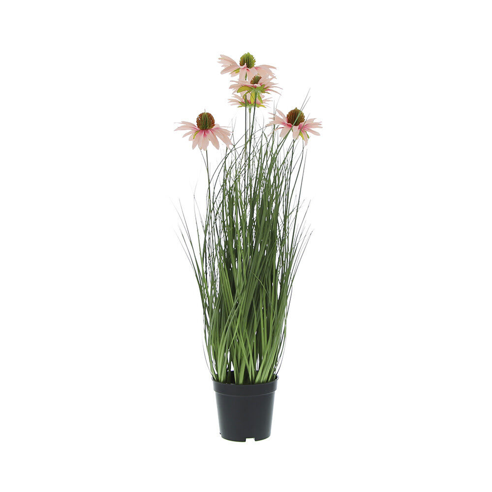 X1PC GRASS IN POT RUDBECKIA 60CM PINK